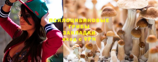 винт Алексеевка