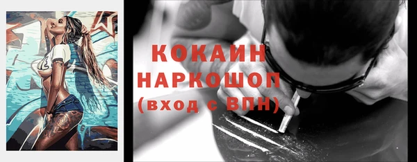 СК Михайлов