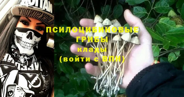 эйфоретик Алзамай