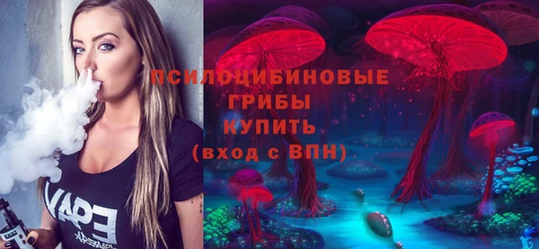 винт Алексеевка